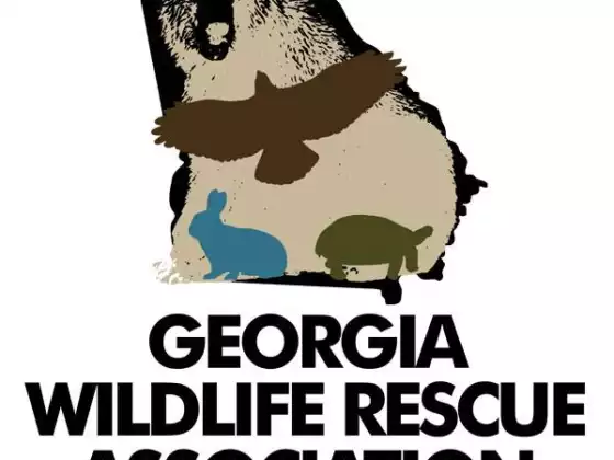 Georgia Wildlife Rescue Association  - Class Instructor