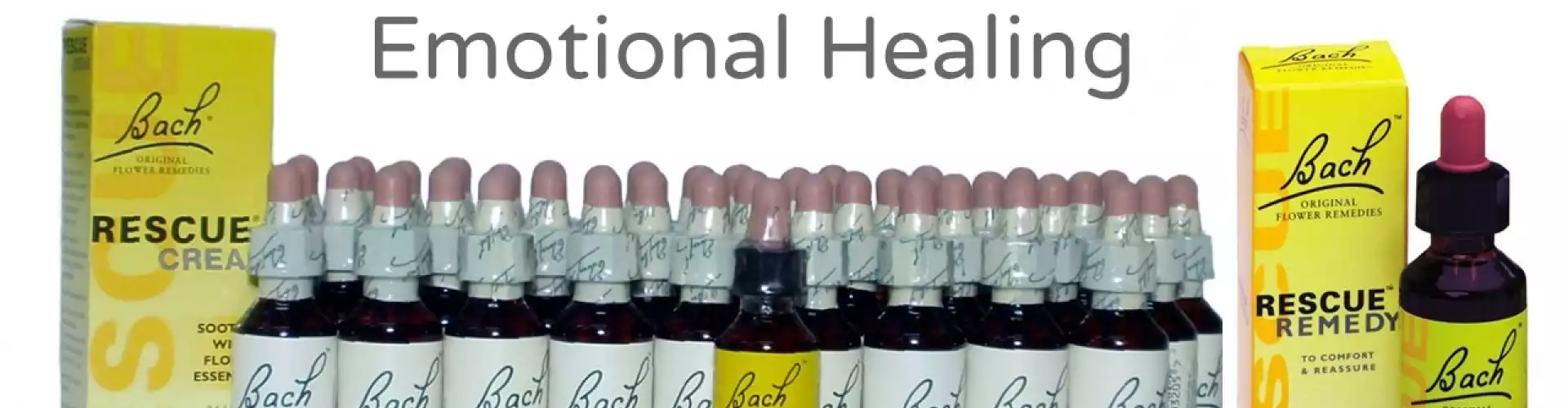 Bach Flower Remedies for Emotional Healing 101 - Online Class by Sue Walsh