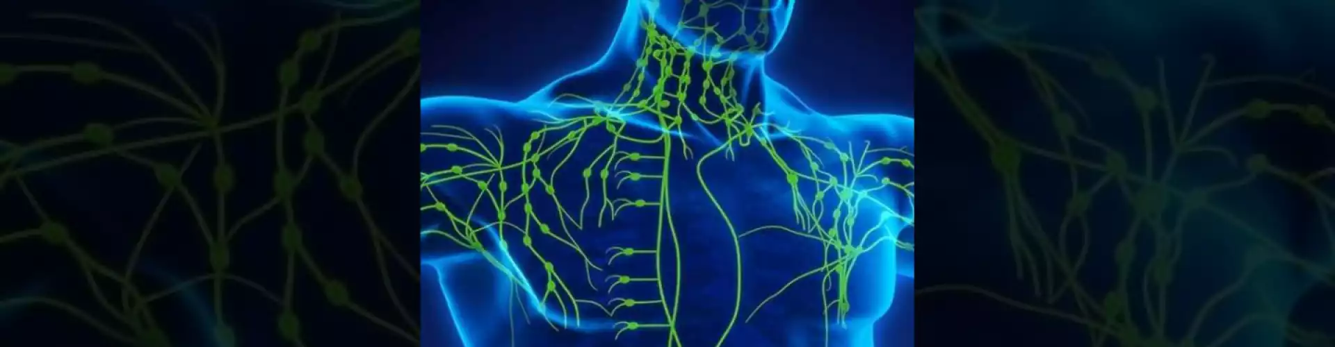 The Lymphatic System is vital to your Health so How can you Help it? - Online Class by Cassaundra Paolini