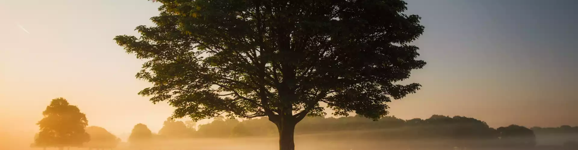 Les dimanches spirituels de l'Ascension